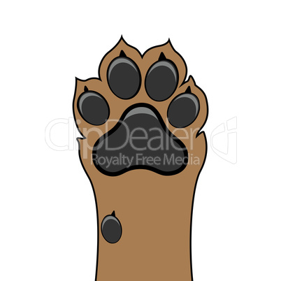 Paw dog up pet vector