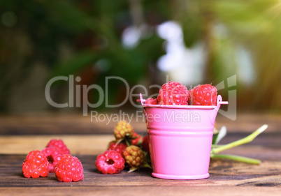 ripe red raspberries in an iron pink bucket