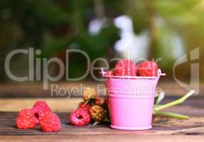 ripe red raspberries in an iron pink bucket