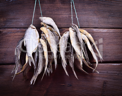 Cured fish hanging on a rope