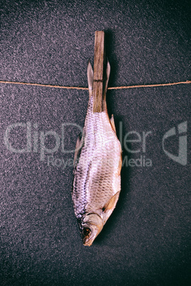 dried salted fish