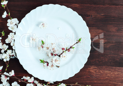 empty round white plate