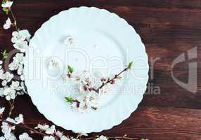 empty round white plate