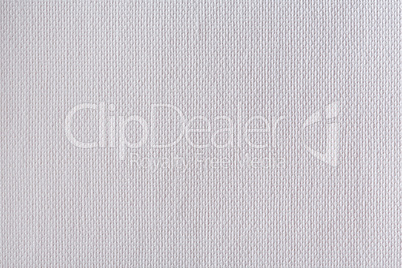 A White Canvas texture. Good for backgrounds.