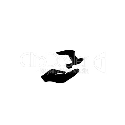 Dove bird in hand. Peace sign. Pigeon fly icon
