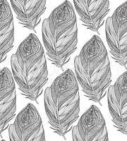 Feather seamless pattern. American native ornament