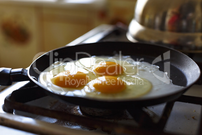 Eggs fry in a frying pan