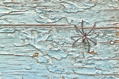 Black spider on an old wooden background. Halloween symbol
