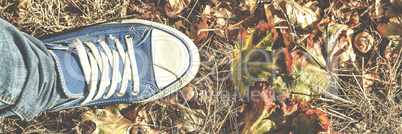 Autumn background. Legs in blue gym shoes standing on colorful fallen leaves. Concept: making important decisions, meditation