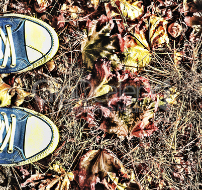 Autumn background. Legs of a young woman in a blue sneakers