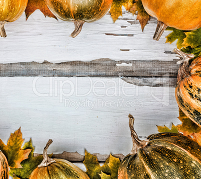 Thanksgiving background. Pumpkins on a white wooden background. Free space for text. View from above.