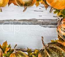 Thanksgiving background. Pumpkins on a white wooden background. Free space for text. View from above.