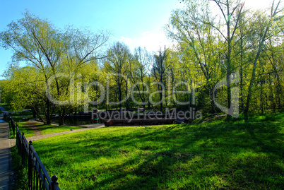 a Sunny day in a Moscow Park in spring