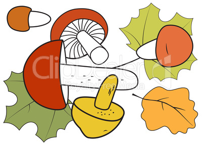 Mushrooms and autumn leaves