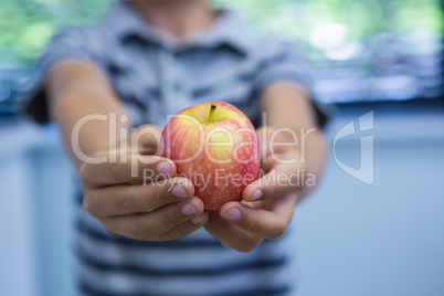 Midsection of boy holding apple