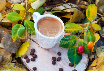 white cup with espresso on hemp among fallen autumn leaves