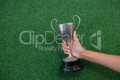 Hand holding a trophy on artificial grass