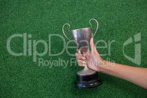 Hand holding a trophy on artificial grass