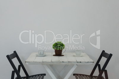 Coffee cup and pot plant on table