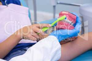 Cropped image of dentist teaching boy brushing teeth on dentures