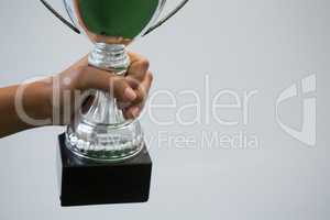 Hand holding a trophy against white background