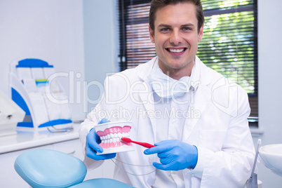 Portrait of dentist brushing dental mold