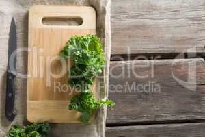 Kale leaves on cutting board with knife at table