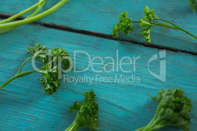Fresh coriander leaves on wooden table