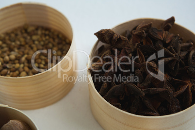 Star anise and coriander seed in bowl
