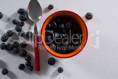 Blueberries in a bowl on white background