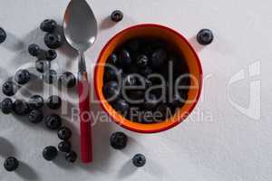 Blueberries in a bowl on white background