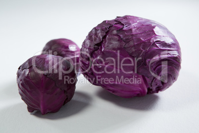 Red cabbages on a white background