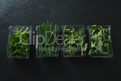 Various type of herbs in plastic tray