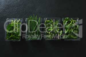 Various type of herbs in plastic tray
