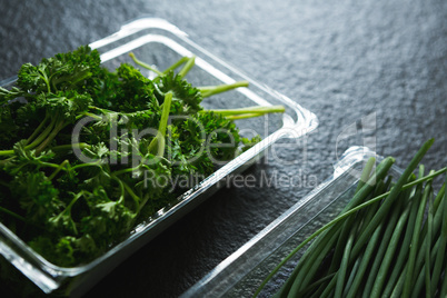 Various type of herbs in plastic tray