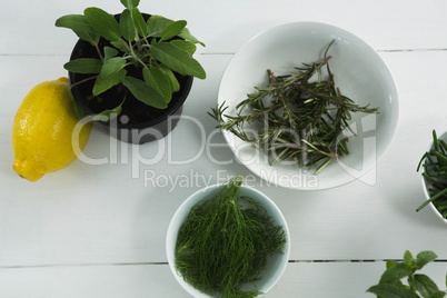 Various herbs in bowl with sweet lime