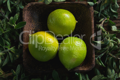 Lime fruits in a bowl with herbs