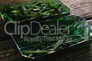 Chives and herbs in a bowl