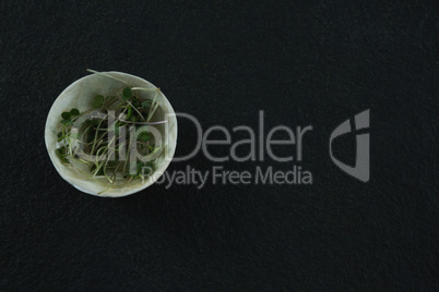 Microgreens in bowl