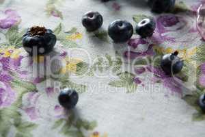 Blueberries on textile