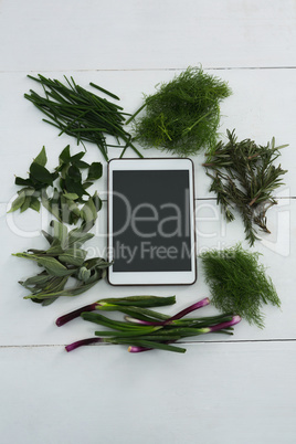 Various herbs with digital tablet on white background