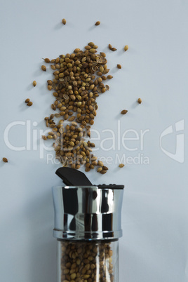 Coriander seeds spilling out of bottle