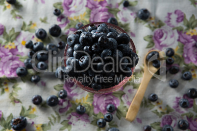 Bowl of blueberries