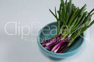 Scallions in bowl