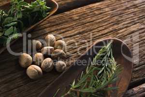 Nutmegs and rosemary herbs  on a wooden table