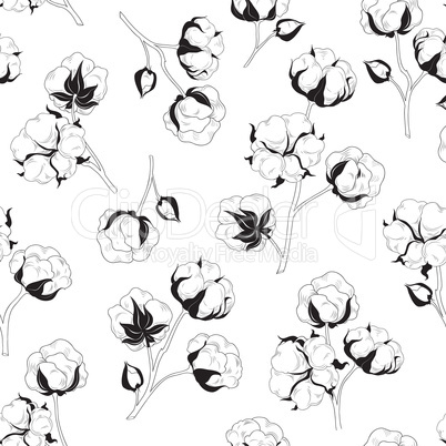 Floral seamless pattern with flower cotton.  Nature background