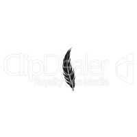 Feather silhouette isolated on white background. Bird icon