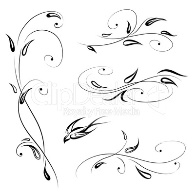 Floral decor with bird. Swirl line stylish flower set decorative