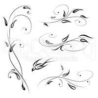 Floral decor with bird. Swirl line stylish flower set decorative