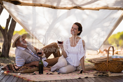 Portrait of happy couple having wine in cottage